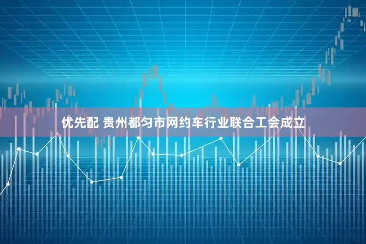 优先配 贵州都匀市网约车行业联合工会成立