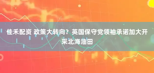 佳禾配资 政策大转向？英国保守党领袖承诺加大开采北海油田